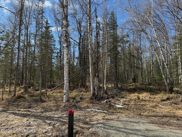 4173 E Harman, Wasilla, AK 99654