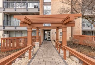 6010 Oakwood Drive 5E, Lisle, IL 60532