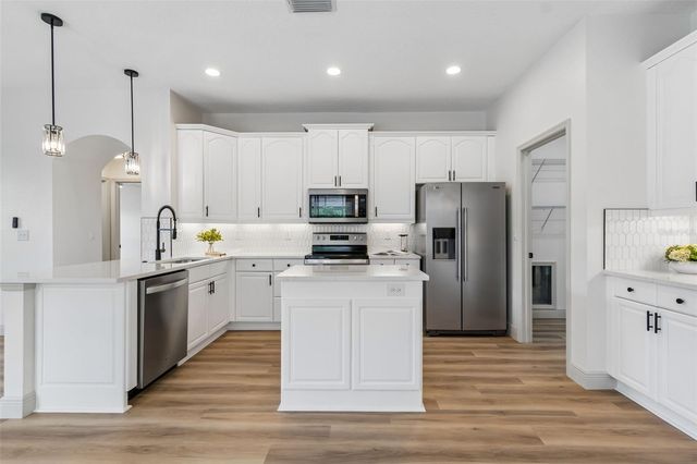 1311 WYNDHAM LAKES DRIVE, Odessa, FL 33556