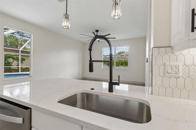 1311 WYNDHAM LAKES DRIVE, Odessa, FL 33556