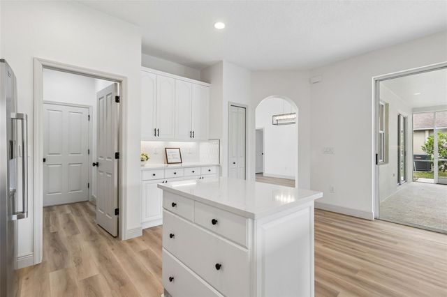 1311 WYNDHAM LAKES DRIVE, Odessa, FL 33556