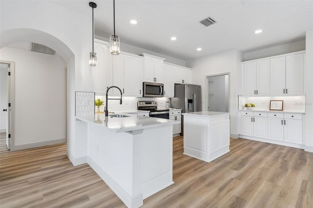 1311 WYNDHAM LAKES DRIVE, Odessa, FL 33556