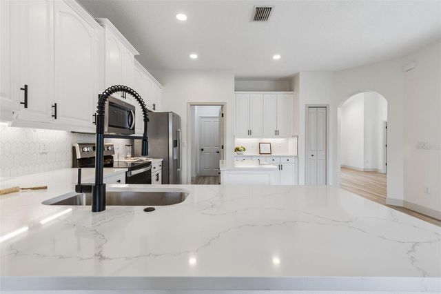 1311 WYNDHAM LAKES DRIVE, Odessa, FL 33556