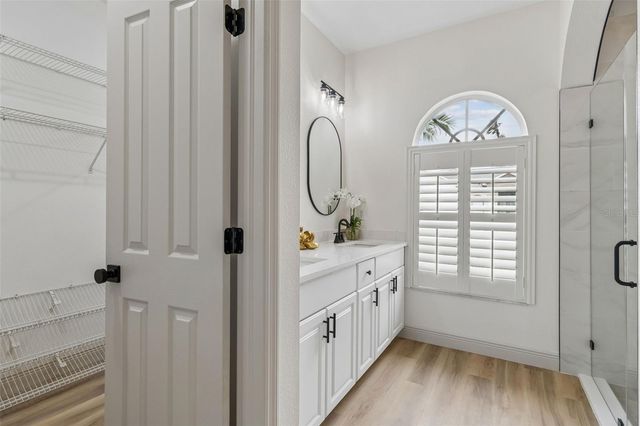 1311 WYNDHAM LAKES DRIVE, Odessa, FL 33556