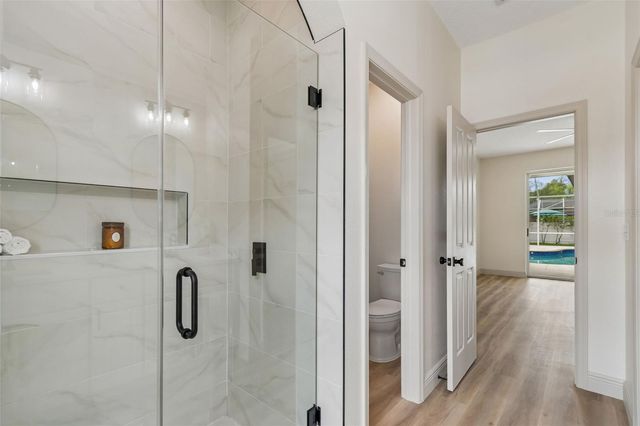 1311 WYNDHAM LAKES DRIVE, Odessa, FL 33556