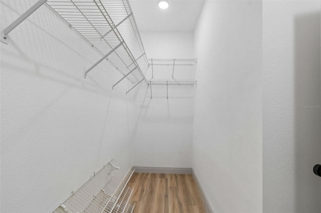 1311 WYNDHAM LAKES DRIVE, Odessa, FL 33556