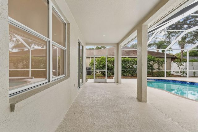 1311 WYNDHAM LAKES DRIVE, Odessa, FL 33556