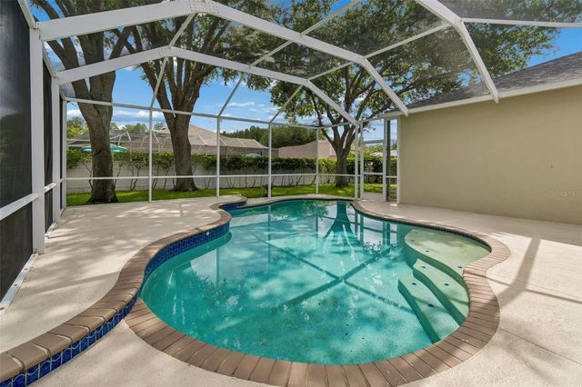 1311 WYNDHAM LAKES DRIVE, Odessa, FL 33556