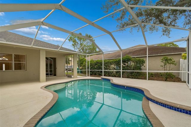 1311 WYNDHAM LAKES DRIVE, Odessa, FL 33556