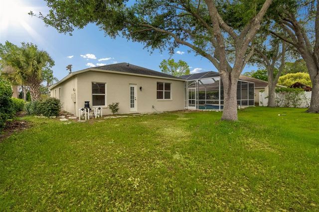 1311 WYNDHAM LAKES DRIVE, Odessa, FL 33556