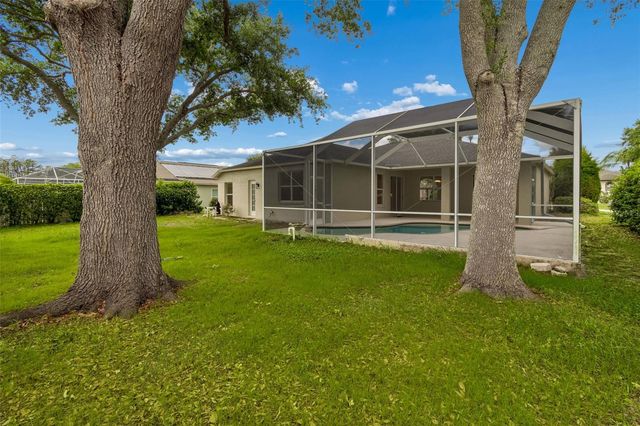 1311 WYNDHAM LAKES DRIVE, Odessa, FL 33556