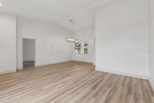 1311 WYNDHAM LAKES DRIVE, Odessa, FL 33556