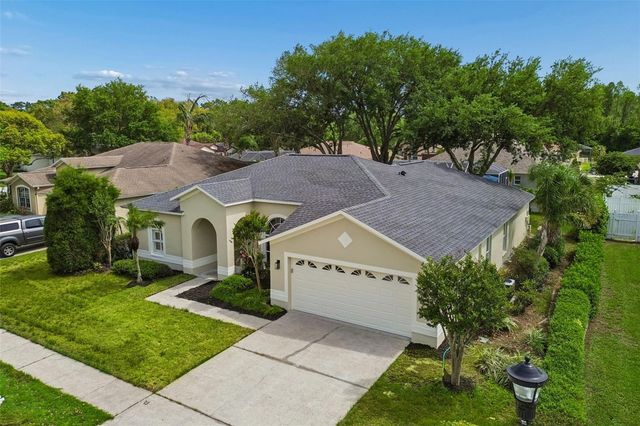 1311 WYNDHAM LAKES DRIVE, Odessa, FL 33556