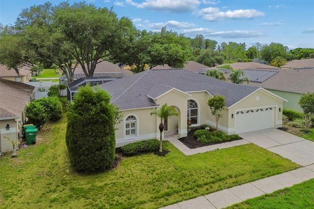 1311 WYNDHAM LAKES DRIVE, Odessa, FL 33556