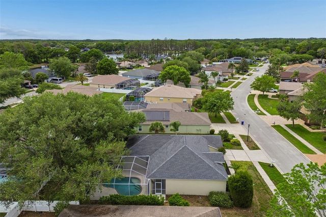 1311 WYNDHAM LAKES DRIVE, Odessa, FL 33556