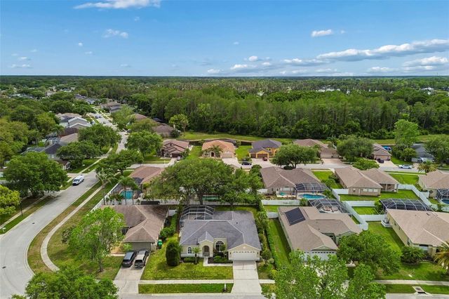 1311 WYNDHAM LAKES DRIVE, Odessa, FL 33556