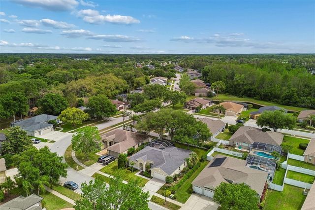 1311 WYNDHAM LAKES DRIVE, Odessa, FL 33556