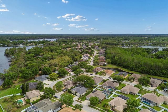 1311 WYNDHAM LAKES DRIVE, Odessa, FL 33556