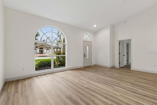 1311 WYNDHAM LAKES DRIVE, Odessa, FL 33556