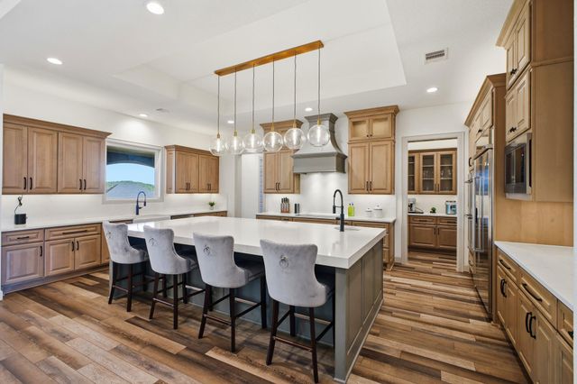 321 Vista View Place PL, Spring Branch, TX 78070