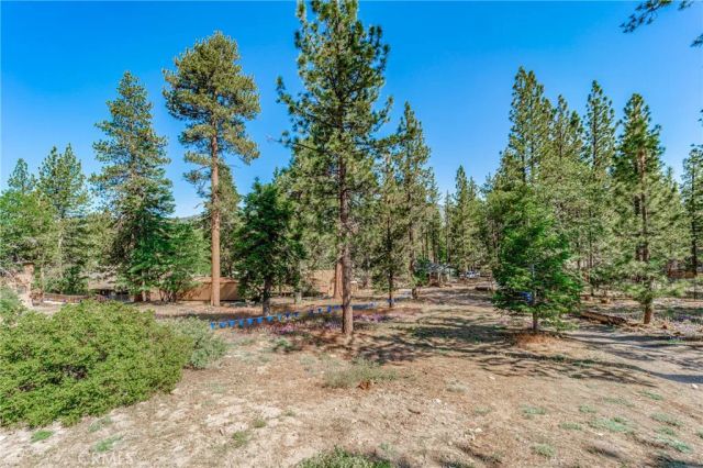 872 Hill, Big Bear Lake, CA 92315