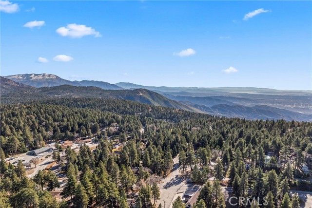 2113 Spring Oak, Running Springs, CA 92382