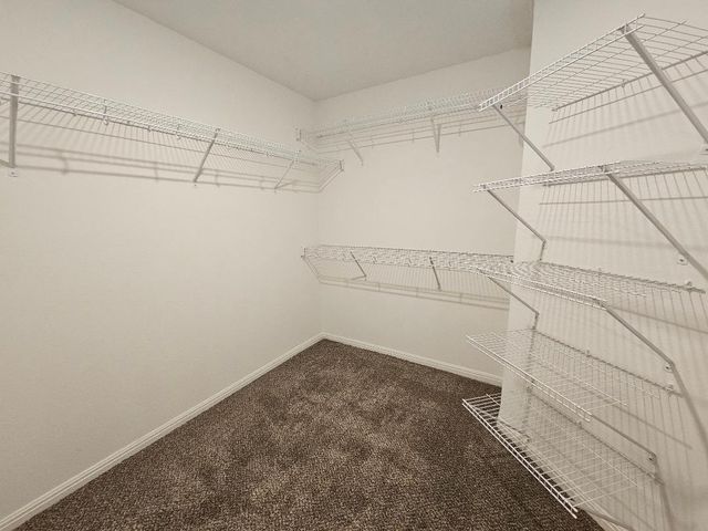 17904 Speculator LN, Elgin, TX 78621