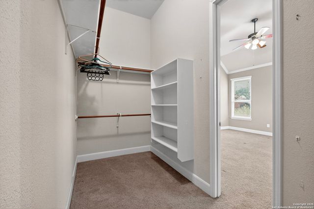 23330 Bison Cyn, San Antonio, TX 78261