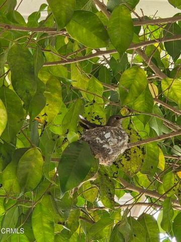 222 Calle Fronte 29, Camarillo, CA 93012