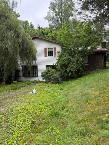 60 Grover Whitehead Road, Whitley City, KY 42653