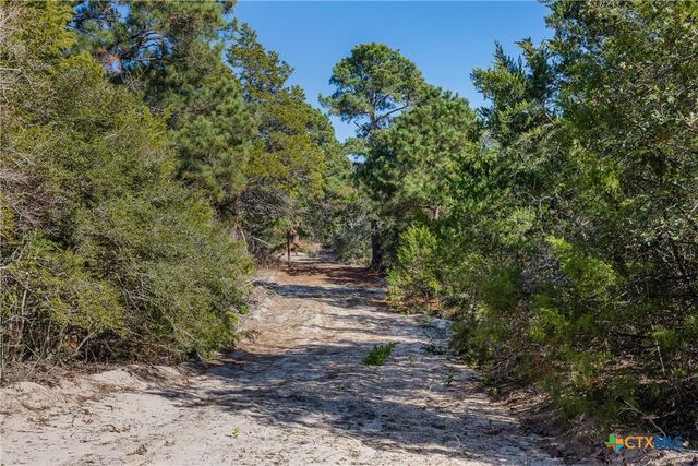 555 Altamira Lane, Dale, TX 78616