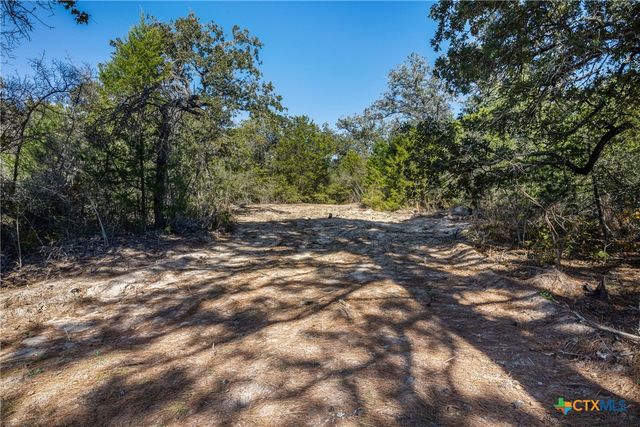 555 Altamira Lane, Dale, TX 78616