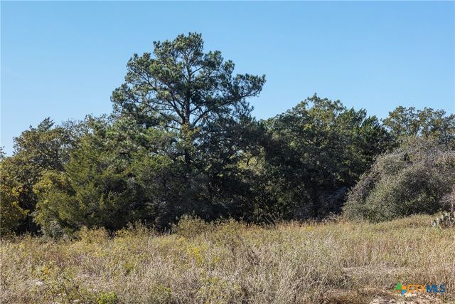 555 Altamira Lane, Dale, TX 78616