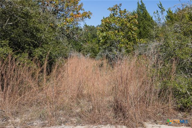 555 Altamira Lane, Dale, TX 78616