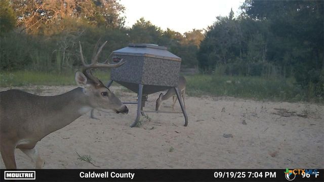 555 Altamira Lane, Dale, TX 78616