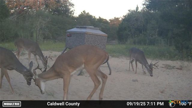 555 Altamira Lane, Dale, TX 78616