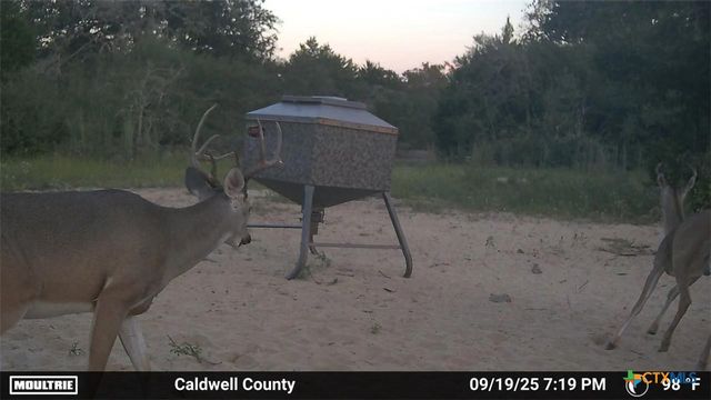 555 Altamira Lane, Dale, TX 78616