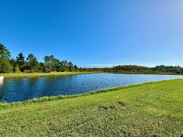 18815 HAMPSTEAD HEATH COURT, Land O Lakes, FL 34638