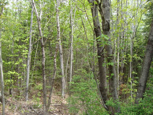 208 Grafton Turnpike Road, Canaan, NH 03741