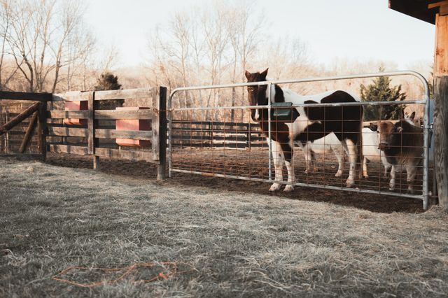 7515 Pewitt Rd, Franklin, TN 37064