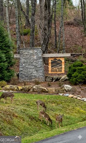 377 S Jakes Landing Way, Ellijay, GA 30540