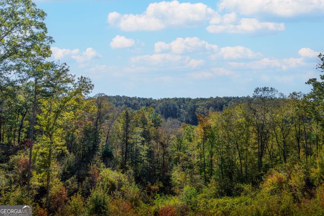 377 S Jakes Landing Way, Ellijay, GA 30540