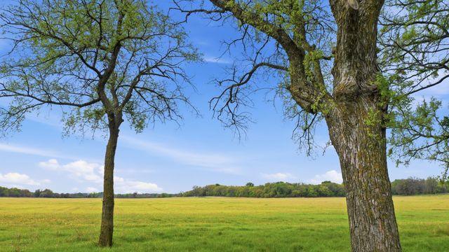 10875 Brock Highway, Lipan, TX 76462