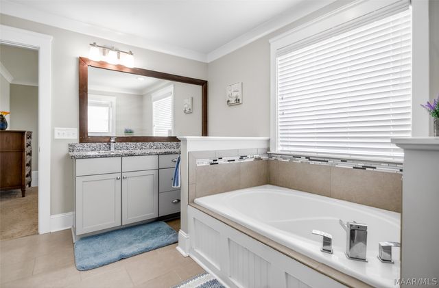 230 Avenue Of The Orchards Avenue, Pike Road, AL 36064