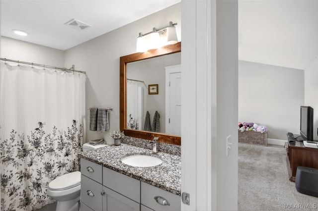 230 Avenue Of The Orchards Avenue, Pike Road, AL 36064