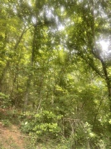 0 Meadow View Road, Sevierville, TN 37862