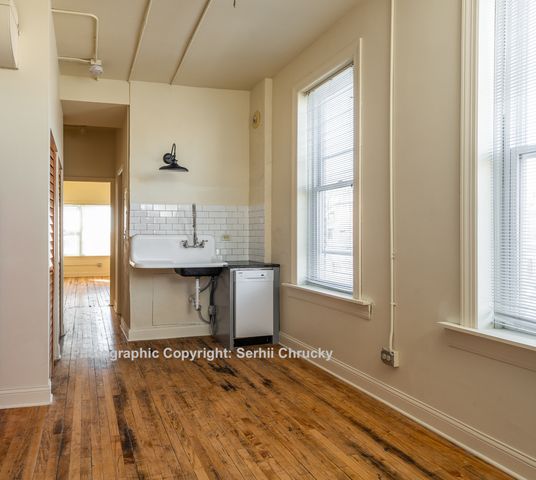 934 W 19th Street 2, Chicago, IL 60608