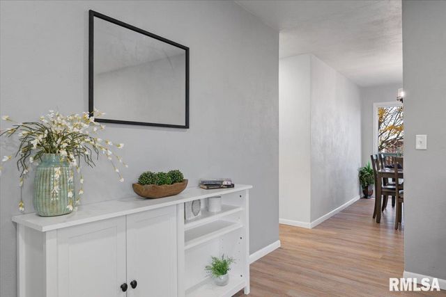 424 DOCIA Street, Hillsdale, IL 61257