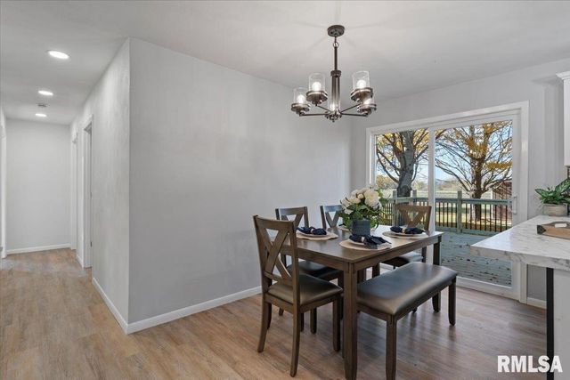 424 DOCIA Street, Hillsdale, IL 61257