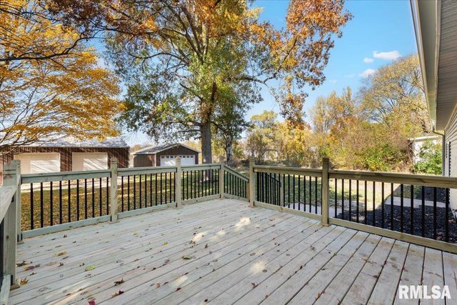 424 DOCIA Street, Hillsdale, IL 61257